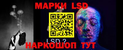 ГАЛЛЮЦИНОГЕННЫЕ ГРИБЫ Заволжье