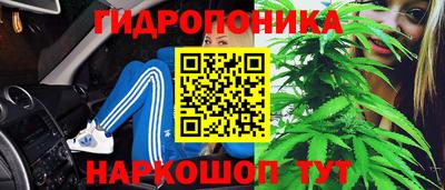 ГАЛЛЮЦИНОГЕННЫЕ ГРИБЫ Заволжье
