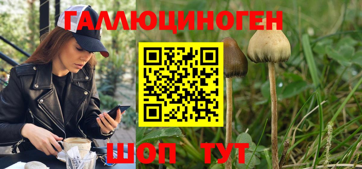 Мыски  Галлюциногенные грибы ЛСД  Вход с VPN 